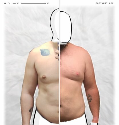 Torso Comparison