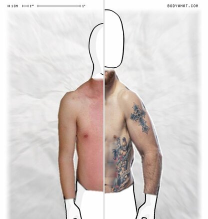 Torso Comparison