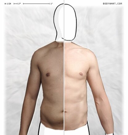 Torso Comparison