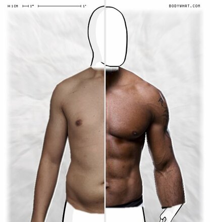 Torso Comparison