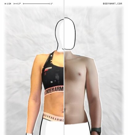 Torso Comparison