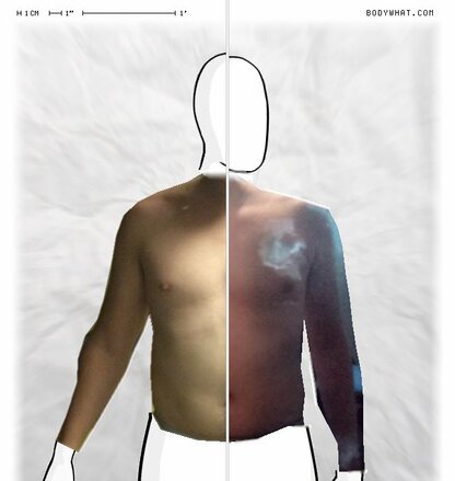 Torso Comparison