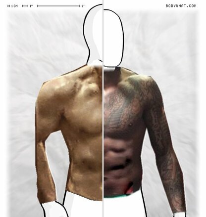 Torso Comparison