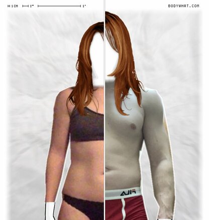 Torso Comparison