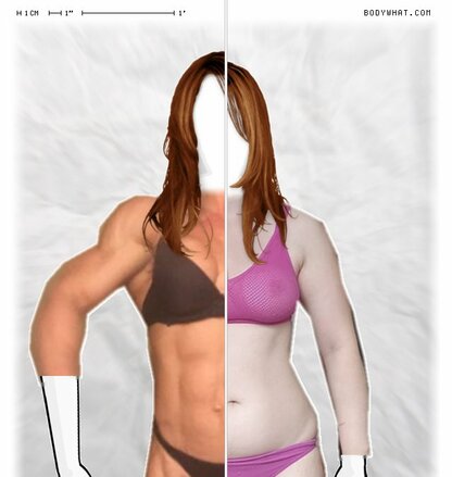 Torso Comparison