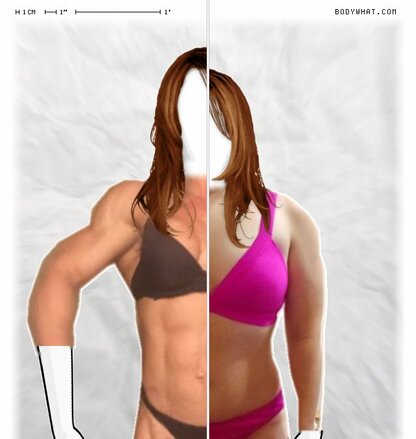 Torso Comparison