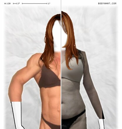 Torso Comparison