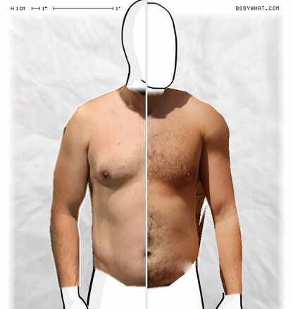 Torso Comparison
