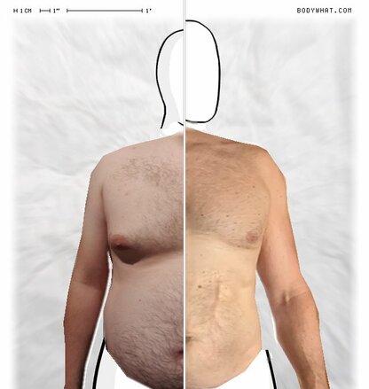 Torso Comparison