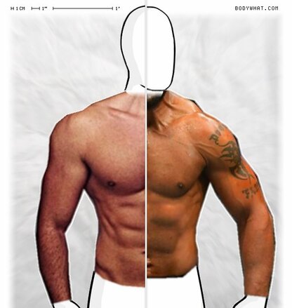 Torso Comparison