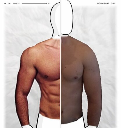 Torso Comparison