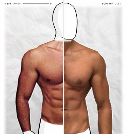 Torso Comparison