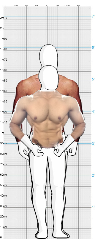 Full Size Comparison