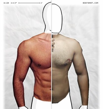 Torso Comparison
