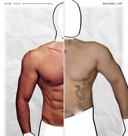 Torso Comparison