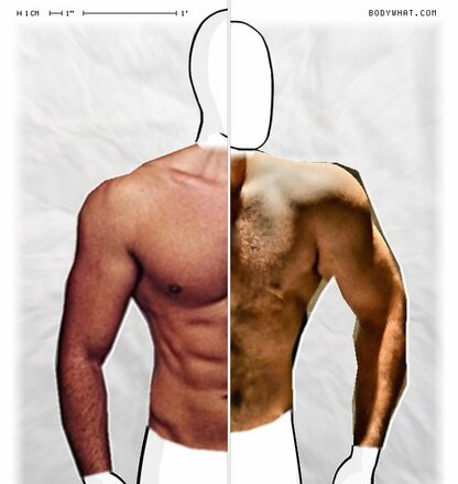 Torso Comparison