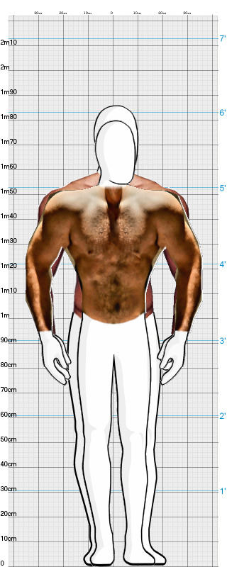 Full Size Comparison