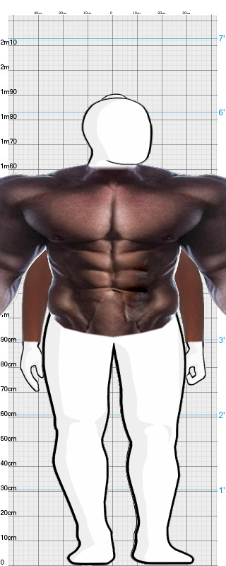 Full Size Comparison