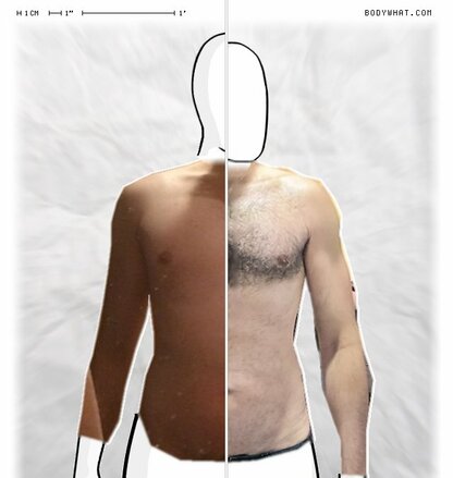 Torso Comparison