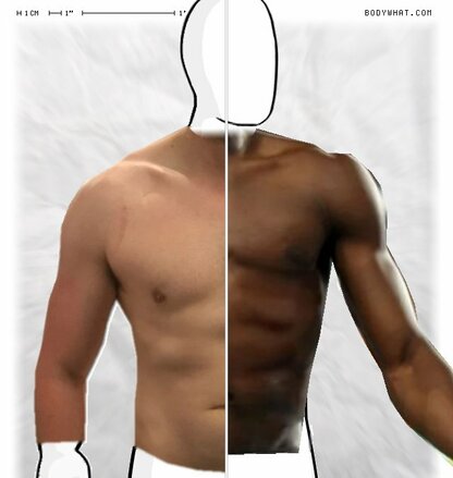 Torso Comparison