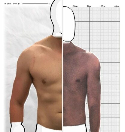 Torso Comparison