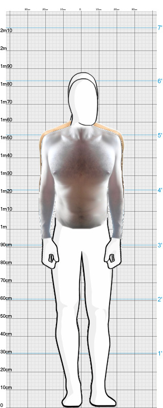 Full Size Comparison