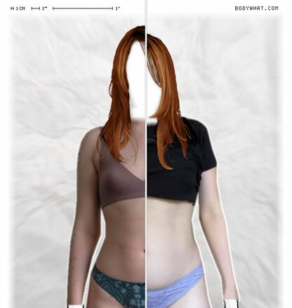 Torso Comparison