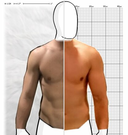 Torso Comparison