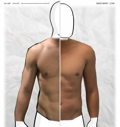 Torso Comparison