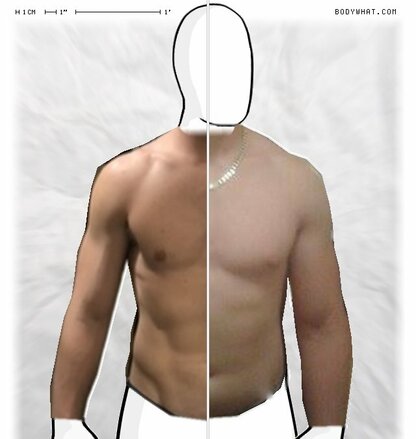 Torso Comparison