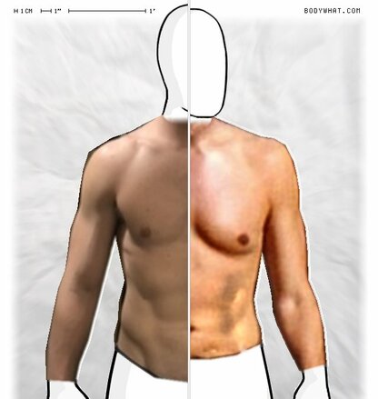 Torso Comparison