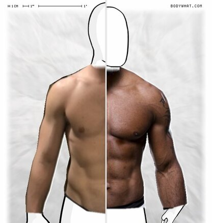 Torso Comparison