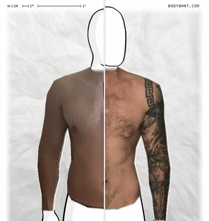 Torso Comparison