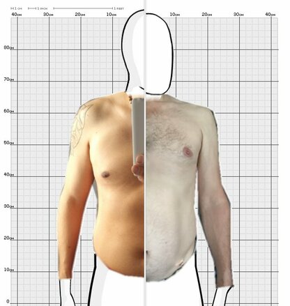 Torso Comparison