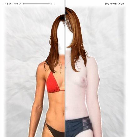 Torso Comparison