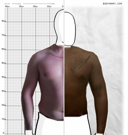 Torso Comparison