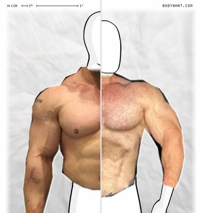 Torso Comparison