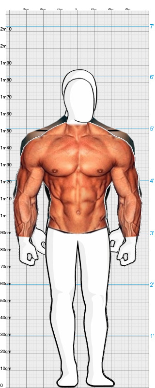 Full Size Comparison