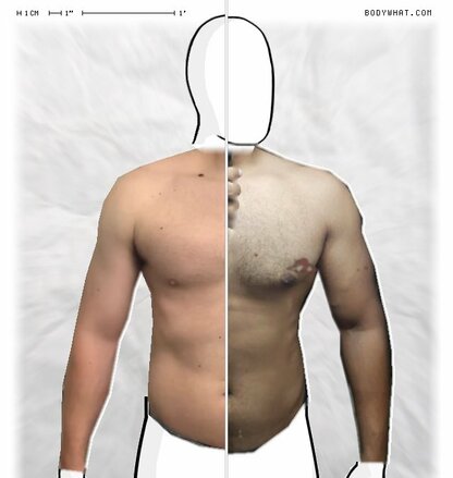 Torso Comparison