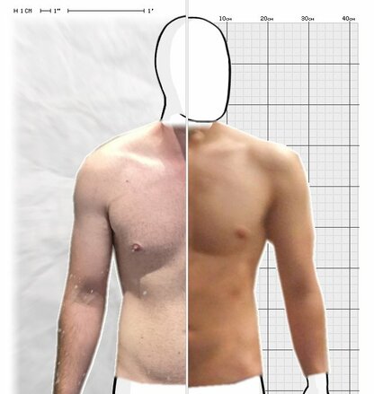 Torso Comparison