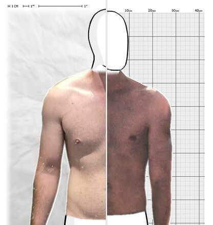 Torso Comparison