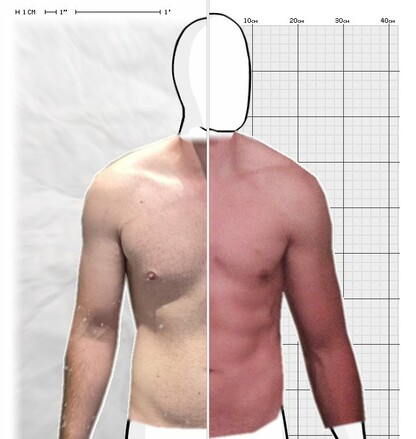 Torso Comparison