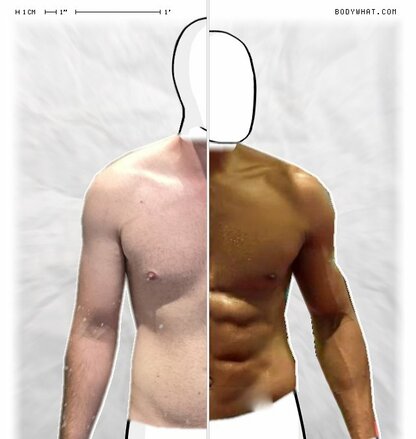 Torso Comparison