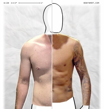 Torso Comparison