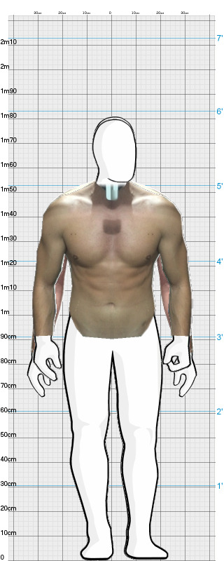 Full Size Comparison