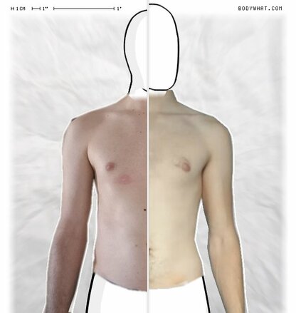 Torso Comparison