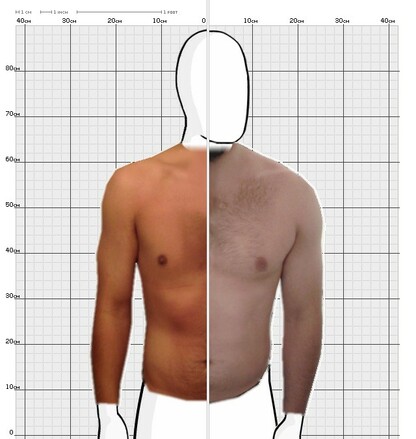 Torso Comparison