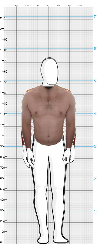 Full Size Comparison