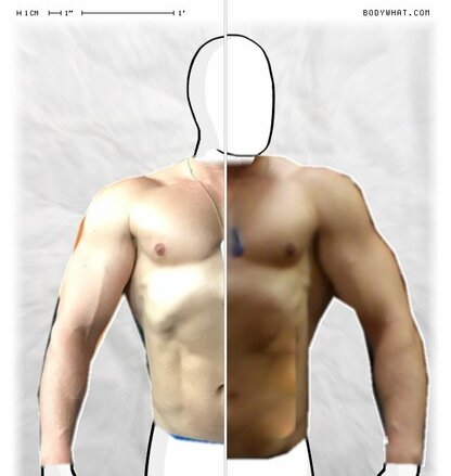 Torso Comparison