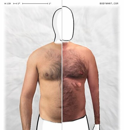 Torso Comparison
